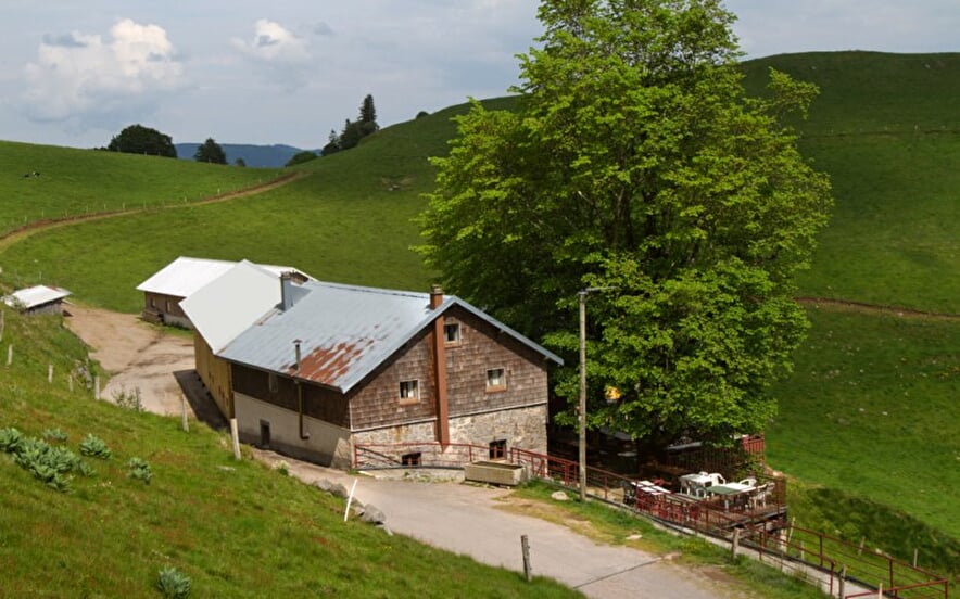 Ferme-auberge du Felsach