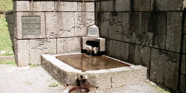 Source de la Moselle