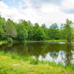 L'étang de pêche du Rayau