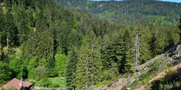 Roche des Chiens