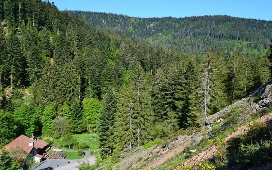 Roche des Chiens