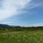 La clairière du Hang