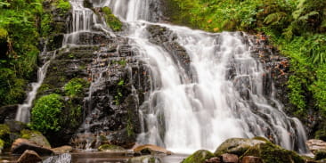 La cascade de Creuse-goutte