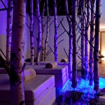 Hôtel Spa La Cheneaudière