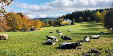 Randonnée montagne et terroir