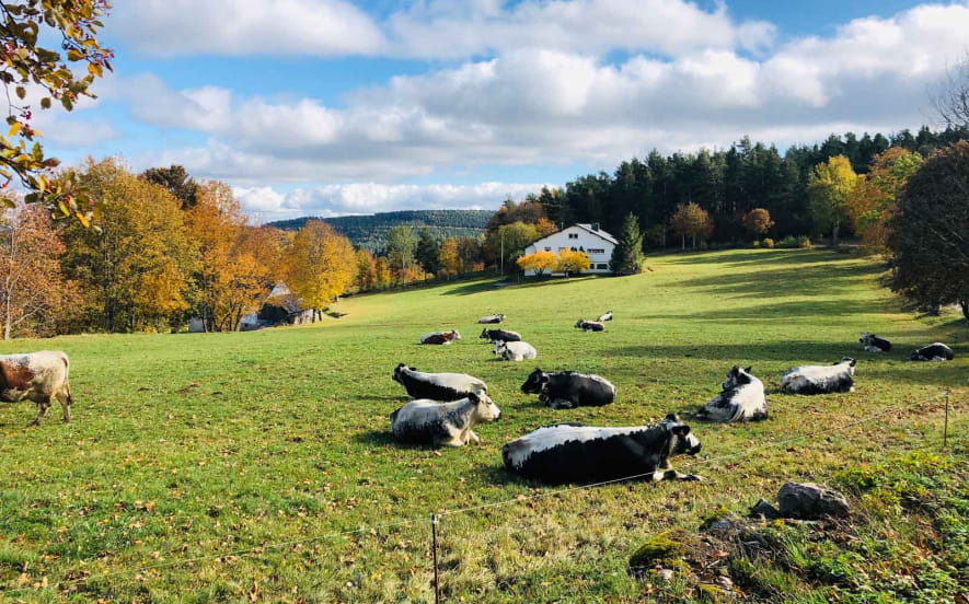 Randonnée montagne et terroir