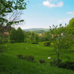 La source de l'Ill