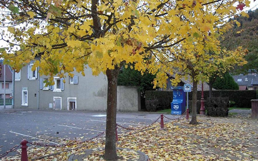 Aire de service pour camping-car de Willer-sur-Thur