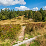 Chaume du Grand Ventron