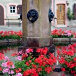 Les fontaines