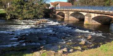 Rivière piscicole de l'Ognon