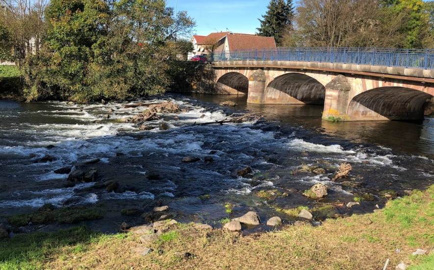 Rivière piscicole de l'Ognon