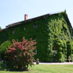 Centre équestre du Château de la Vigne
