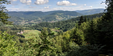 Belvédère de l'étang noir