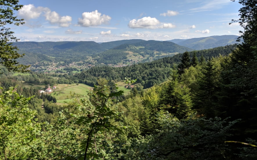 Belvédère de l'étang noir