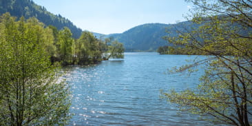 Le delta du ruisseau Saint-Jacques