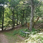 Circuit poussettes 4x4 C02 : autour du col de la Perheux