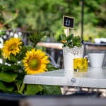 Camping Les Reflets du Val d'Argent