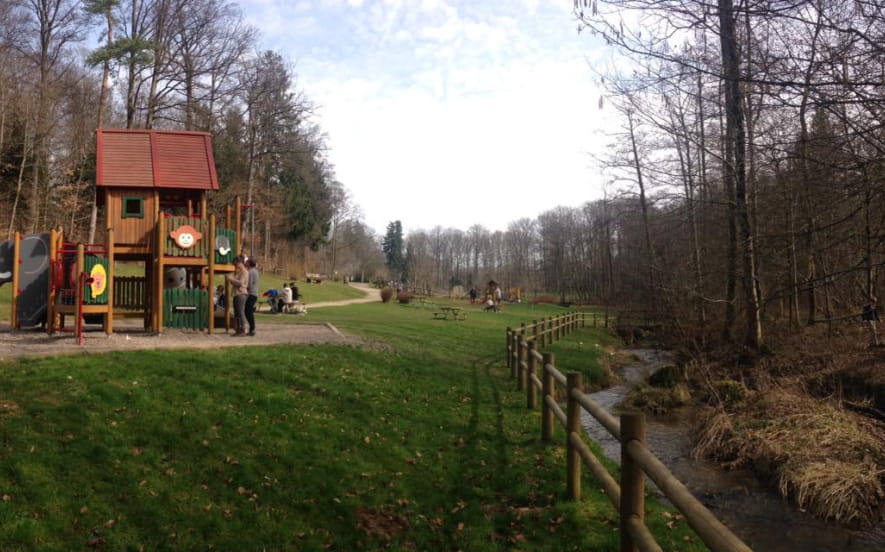 Forêt du Banney