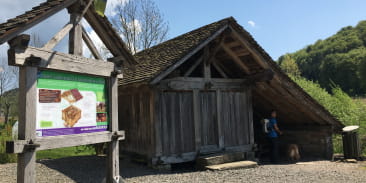 Aire de pique du chalot