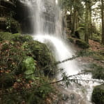 Cascade Mencke