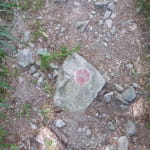 Circuit rando CDF07 : Les Myrtilles