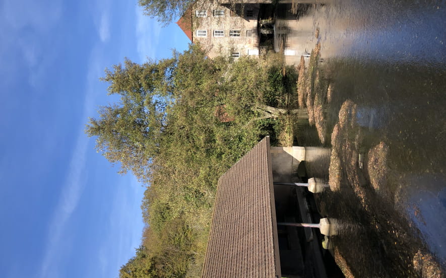 Rivière piscicole de la Reigne