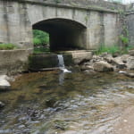 Rivière Piscicole du Rahin