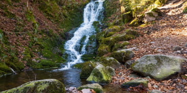 Cascade du cuisinier