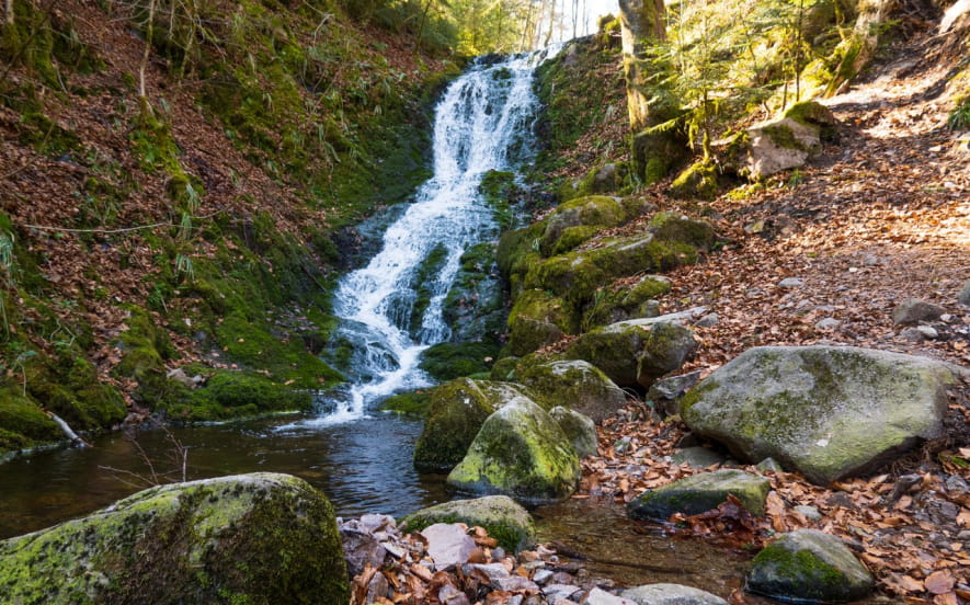Cascade du cuisinier