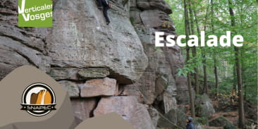 Verticales Vosges : école d'escalade