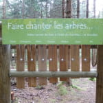 Sentier thématique : Le sentier de découverte de la forêt