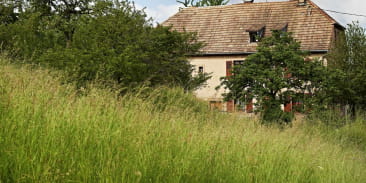 Gîte du loup