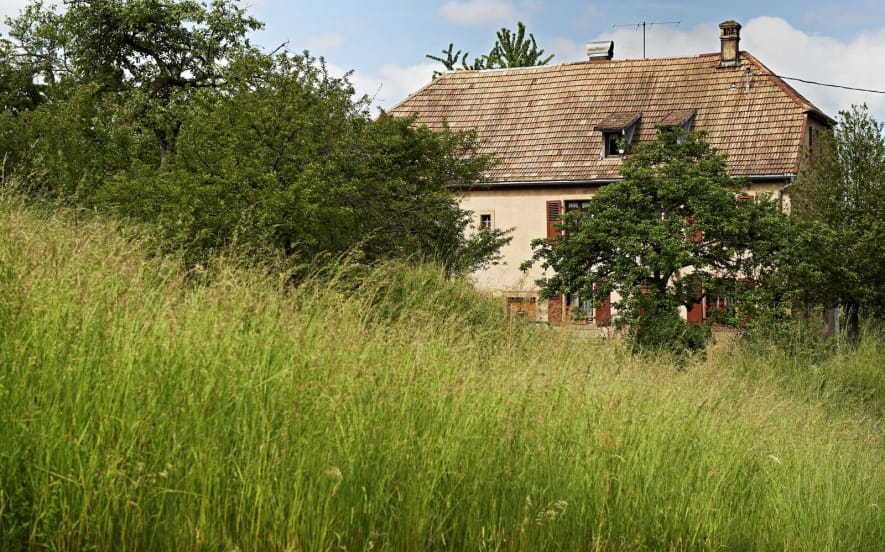 Gîte du loup