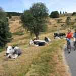 Journée Croq'terroir