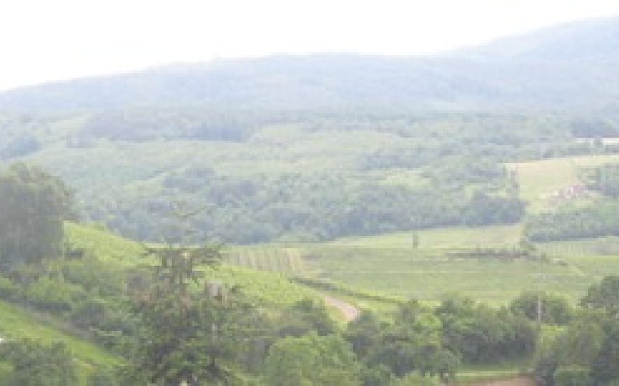 L'Ungersberg