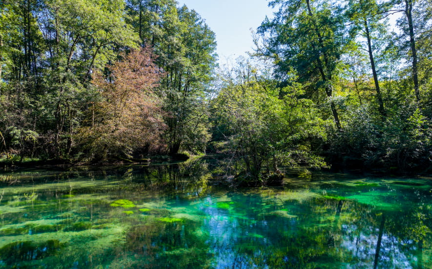 Le sentier de la Reigne