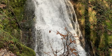 Cascade de Miraumont