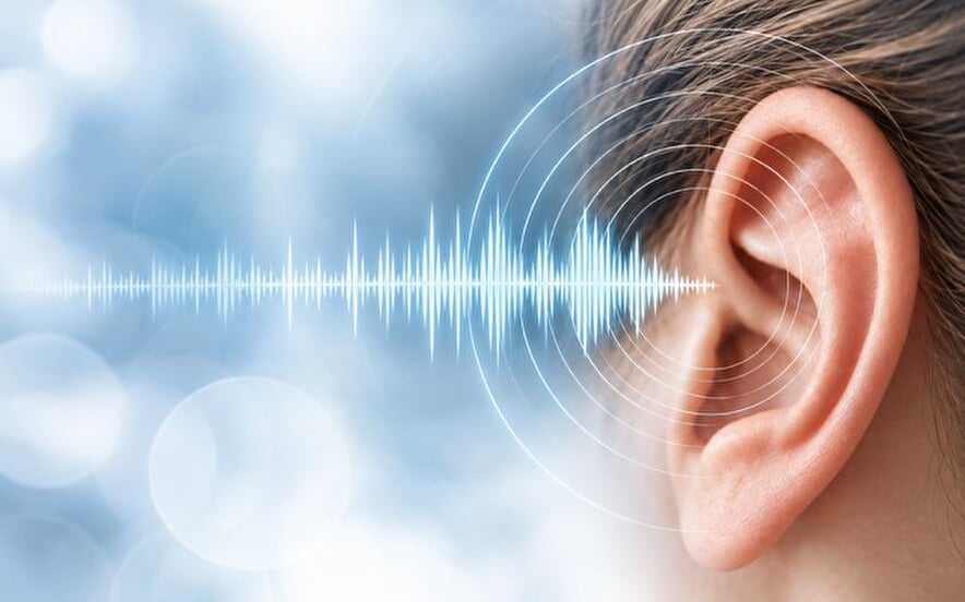Conférence : Nos oreilles sous pression : comprendre les risques du bruit au quotidien