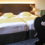 Hôtel-restaurant Auberge Alsacienne