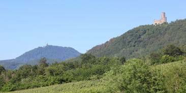 Château de l'Ortenbourg