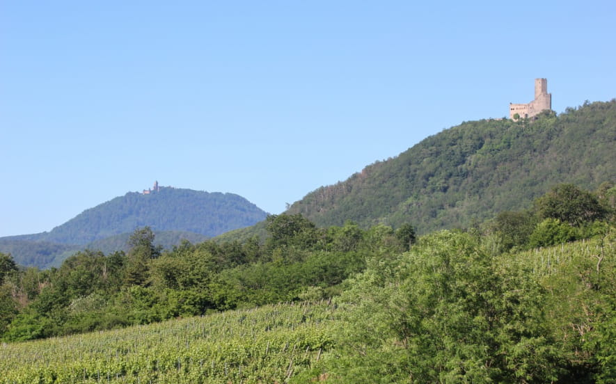Château de l'Ortenbourg