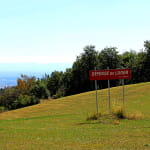 Col Amic