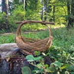 L'echo des brins