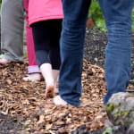 Parcours Pieds Nus
