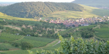Colline du Strangenberg
