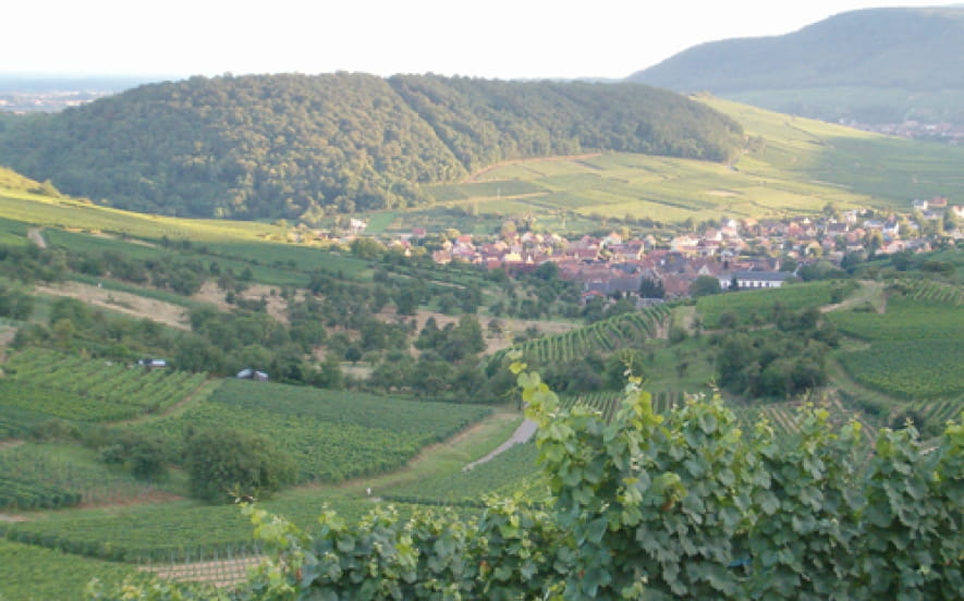 Colline du Strangenberg