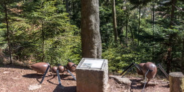 La Montagne des Fourmis Géantes