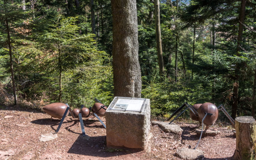 La Montagne des Fourmis Géantes