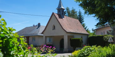 Le vignoble de la Cote 425